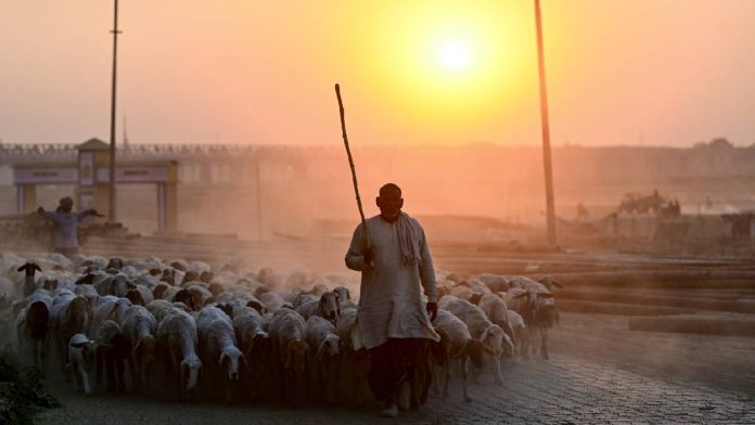 दिल्ली-समेत-देश-के-कई-राज्यों-में-बढ़-रहा-पारा,-फरवरी-में-मार्च-जैसी-गर्मी