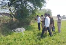 सड़क किनारे खेत में मिला अधेड़ का शव, पुलिस जांच में जुटी