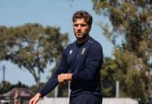 न्यूजीलैंड के खिलाफ टी20 सीरीज से ईथन बॉश बाहर, वियान मुल्डर को मिला मौका