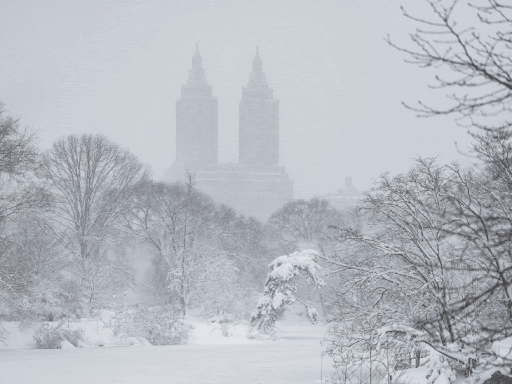 अमेरिका-में-बर्फीले-तूफान-से-11-हजार-फ्लाइट-रद्द:-5-लाख-घरों-की-बिजली-गुल,-153-साल-में-पहली-बार-अखबार-नहीं-छप-सका अमेरिका-में-बर्फीले-तूफान-से-11-हजार-फ्लाइट-रद्द:-5-लाख-घरों-की-बिजली-गुल,-153-साल-में-पहली-बार-अखबार-नहीं-छप-सका