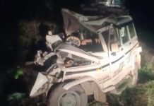 आगरा में पेड़ टकराई बोलेरो, केला देवी से दर्शन कर लौट रहे इटावा के पांच श्रद्धालुओं की मौत