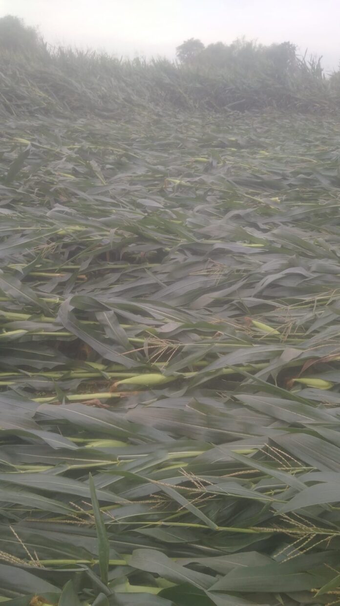 bb373b9948e476894bf8d3aa6dcbeeeb_713814034