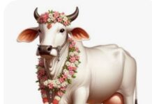 वाराणसी में 14 से 16 मार्च तक अंतर्राष्ट्रीय गौ महोत्सव 2026 का आयोजन