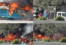 यमुना एक्सप्रेस-वे पर बस में लगी आग, कूदकर बचाई यात्रियों ने जान