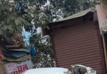 सुलतानपुर मेें सड़क हादसे पिता-पुत्र घायल , हालात नाजुक होने पर लखनऊ रेफर