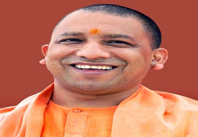 yogi