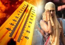 मध्य प्रदेश में तेज गर्मी का सितम जारी, कई शहरों में दिन का पारा 42 डिग्री से ऊपर, अब राते भी होंगी गर्म