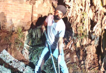 आधी रात को घर में घुसा मगरमच्छ,वन विभाग ने रेस्क्यू किया