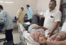 इमली का पेड़ गिरने से बड़ा हादसा, एक की मौत, पत्रकार घायल