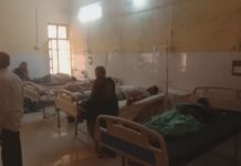 खाना बनाते समय मधुमक्खियों के हमले से आठ श्रद्धालु घायल