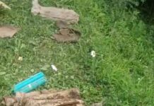 बारामूला में आतंकवादियों के ठिकाने से भारी मात्रा में गोला-बारूद बरामद