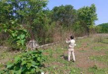 भोपाल: मुहर्रम जुलूस में गूंजा करबला का संदेश, पोस्टरों पर लिखा- ‘आतंकवाद हर जगह शांति के लिए खतरा’