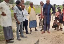 पोखरे में मिला पांच फीट लंबा मगरमच्छ, ग्रामीणों ने पकड़कर वन विभाग को सौंपा