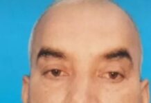 ट्रेलर की टक्कर से बाइक सवार अधेड़ की मौत, चालक फरार